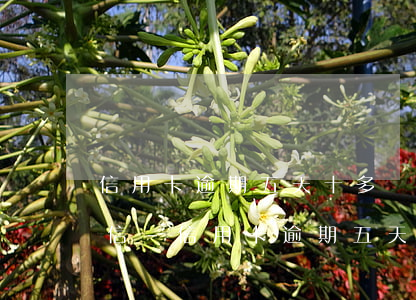 信用卡逾期五天十多塊錢會(huì)上征信-信用卡逾期五天十多塊錢會(huì)上征信嗎