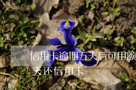 信用卡逾期五天后可用额度变黑了-逾期5天还信用卡