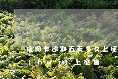 信用卡逾期五天多久上征信(貸款逾期幾天會(huì)上征信)