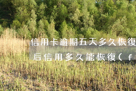 信用卡逾期五天多久恢復(fù)信用 逾期后信用多久能恢復(fù)
