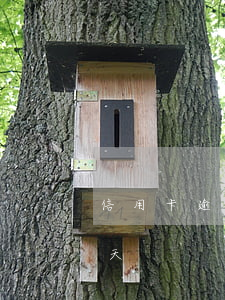 信用卡逾期五天征信嘛 信用卡5萬逾期10天