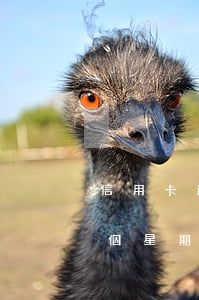 信用卡逾期五天怎么扣(信用卡5塊錢逾期一個星期了怎么辦)