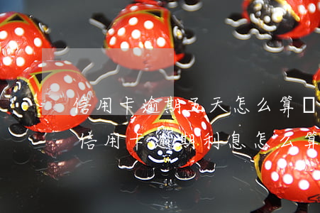 信用卡逾期五天怎么算罰息(5萬(wàn)信用卡逾期利息怎么算)