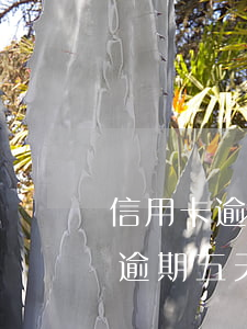 信用卡逾期五天怎么辦會扣利息嗎-信用卡逾期五天怎么辦會扣利息嗎知乎