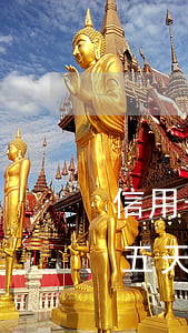 信用卡逾期五天會(huì)上征信么(逾期五天會(huì)上征信嗎)