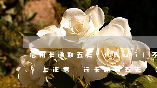 信用卡逾期五天會(huì)不會(huì)上征信(銀行卡逾期五天會(huì)上征信)