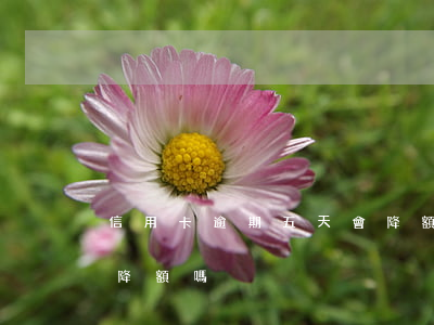 信用卡逾期五天會降額嗎(信用卡逾期五天會降額嗎)