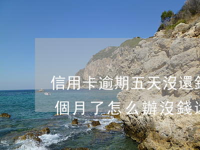 信用卡逾期五天沒還錢(信用卡逾期差不多5個月了怎么辦,沒錢還)