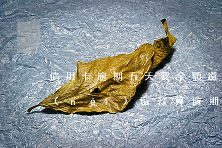 信用卡逾期五天要全額還嗎-信用卡3天內(nèi)還款算逾期嗎