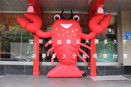 信用卡逾期五天要多久才能用(信用卡逾期五天要多久才能用支付寶)