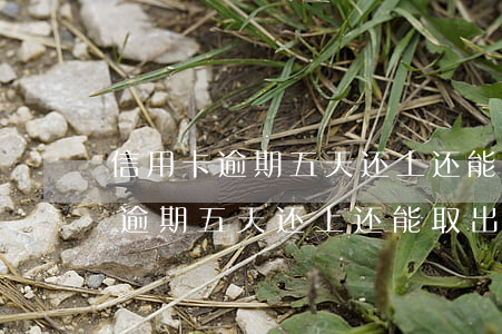 信用卡逾期五天还上还能取出来吗-信用卡逾期五天还上还能取出来吗