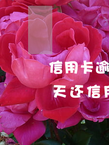 信用卡逾期五天还最低额度行不行-逾期5天还信用卡