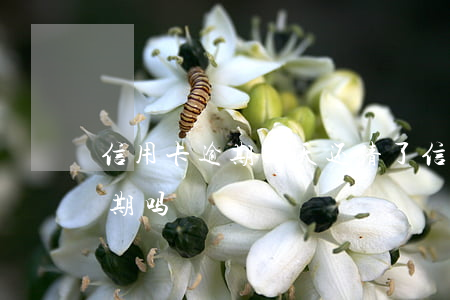 信用卡逾期五天还清了(信用卡5天没还算逾期吗)