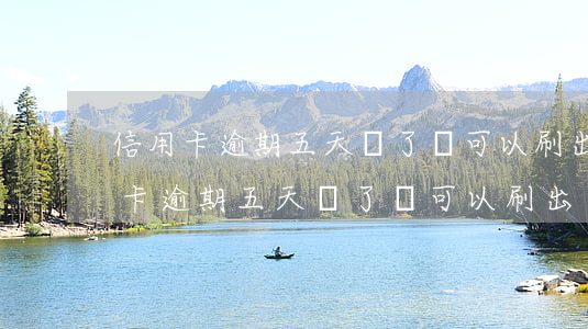 信用卡逾期五天還了還可以刷出來嗎-信用卡逾期五天還了還可以刷出來嗎