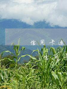 信用卡逾期五天還了還能繼續(xù)用嗎-信用卡逾期五天還了還能繼續(xù)用嗎