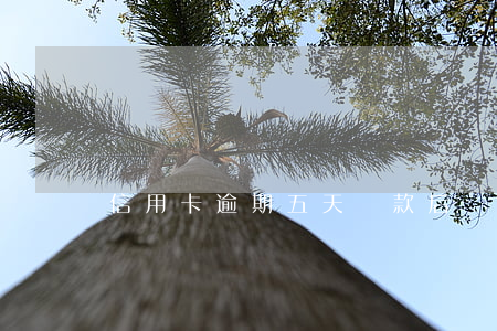 信用卡逾期五天還款后還能用嗎