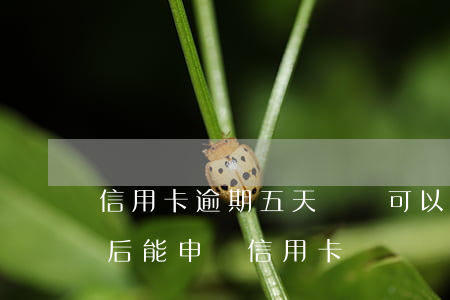 信用卡逾期五天還錢可以嗎(逾期還清后5年后能申請信用卡嗎)