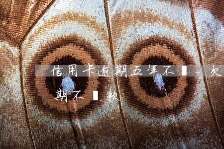 信用卡逾期五年不還-欠信用卡5萬以上逾期不還款