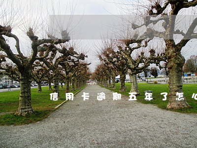 信用卡逾期五年了怎么協(xié)商還