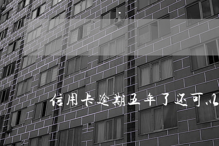 信用卡逾期五年了还可以分期吗-