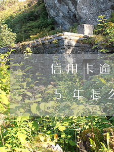 信用卡逾期五年以上怎么办(信用卡5千逾期5年怎么处理)
