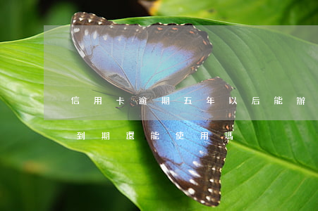信用卡逾期五年以后能辦信用卡 信用卡5年到期還能使用嗎