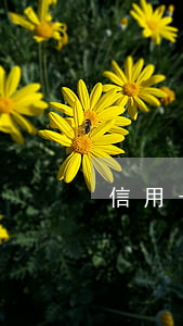 信用卡逾期五年免息嗎