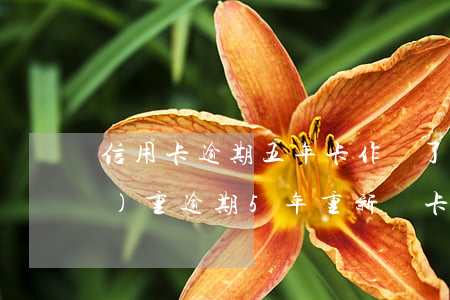 信用卡逾期五年卡作廢了(信用卡嚴(yán)重逾期5年重新辦卡)