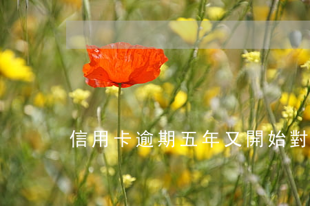 信用卡逾期五年又開始對家人騷擾