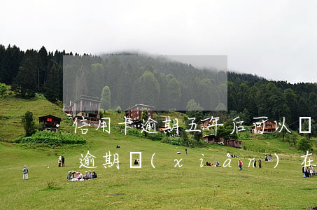 信用卡逾期五年后可以貸款么(五年前信用卡逾期現(xiàn)在能貸款嗎)