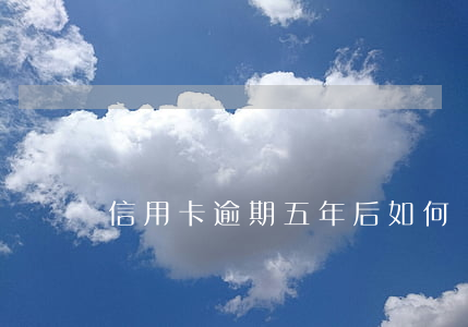 信用卡逾期五年后如何辦理分期-