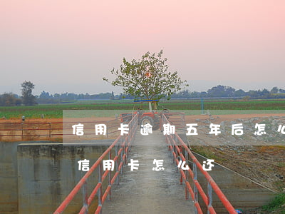 信用卡逾期五年后怎么协商还款(逾期两年的信用卡怎么还)