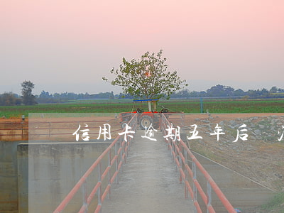 信用卡逾期五年后會消除嗎6