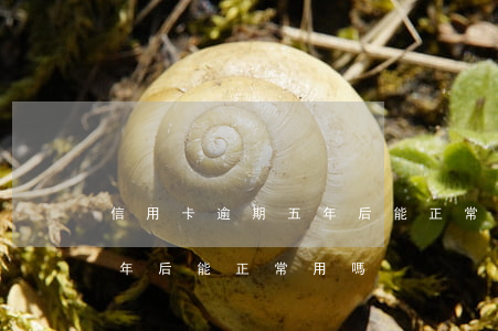 信用卡逾期五年后能正常用嗎（信用卡逾期五年后能正常用嗎）
