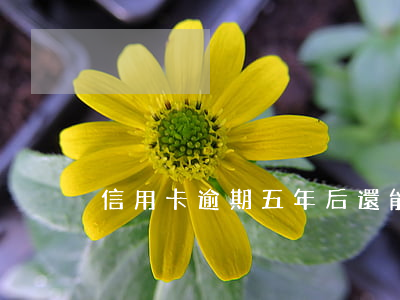 信用卡逾期五年后還能有污點嗎