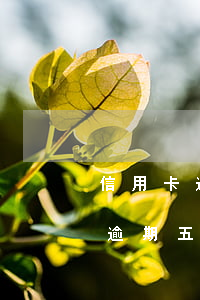 信用卡逾期五年多久能上岸(信用卡2000逾期五年要還多少)