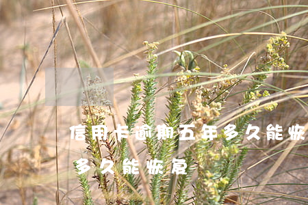 信用卡逾期五年多久能恢复(信用卡逾期一次多久能恢复)