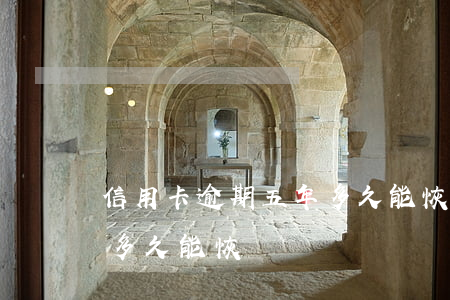 信用卡逾期五年多久能恢復(信用卡逾期一次多久能恢復)