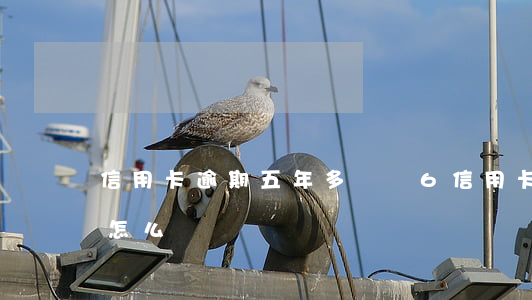 信用卡逾期五年多沒還6(信用卡逾期5年了怎么辦)