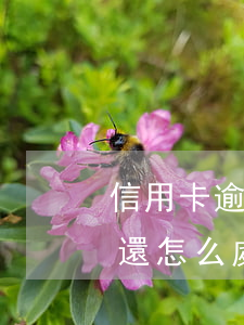 信用卡逾期五年怎么還沒消除 信用卡5年沒還怎么處理