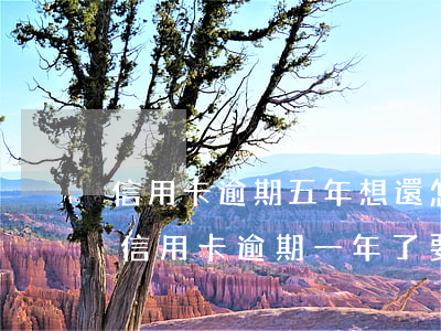 信用卡逾期五年想還怎么辦(5萬(wàn)信用卡逾期一年了要還多少)