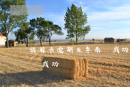 信用卡逾期五年未還成功(信用卡逾期五年未還成功)