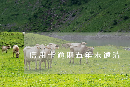 信用卡逾期五年未還清