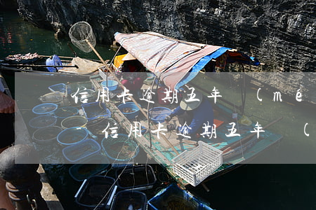 信用卡逾期五年沒(méi)還哪里能貸款-信用卡逾期五年沒(méi)還哪里能貸款