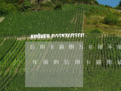 信用卡逾期五年能不能恢復(fù)征信(5年前的信用卡逾期征信還存在)
