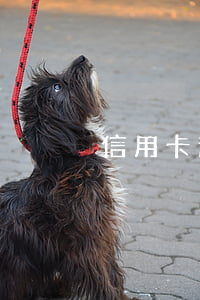 信用卡逾期五年貼吧