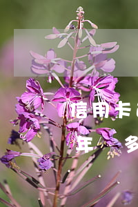 信用卡逾期五年額度1萬(1萬信用卡逾期5年還多少錢)