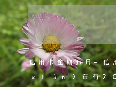 信用卡逾期五月-信用卡逾期五月不還現(xiàn)在有2000還了有沒有什么大的影響