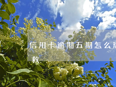 信用卡逾期五期怎么辦(信用卡逾期5個月補救)