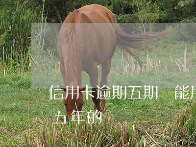信用卡逾期五期還能用嗎(有沒有信用卡逾期五年的)